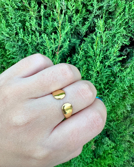 Anillo U