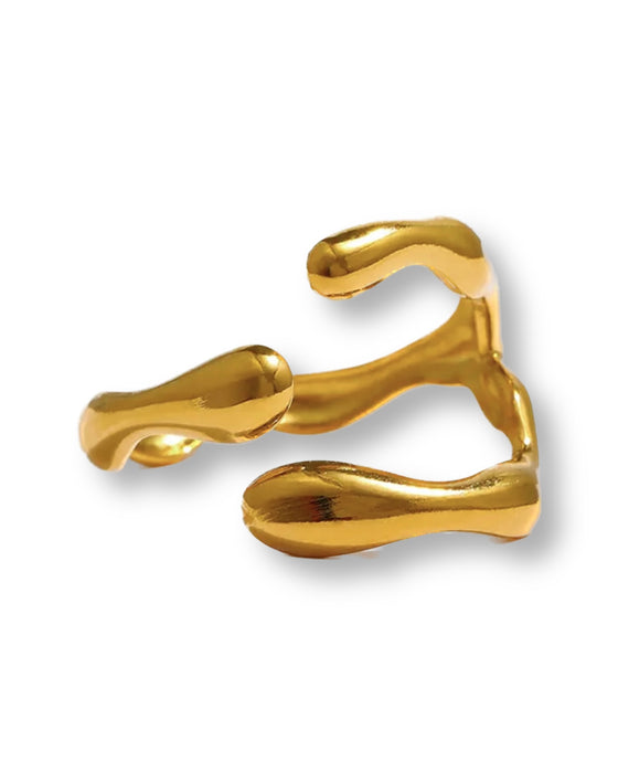 Anillo Penisola