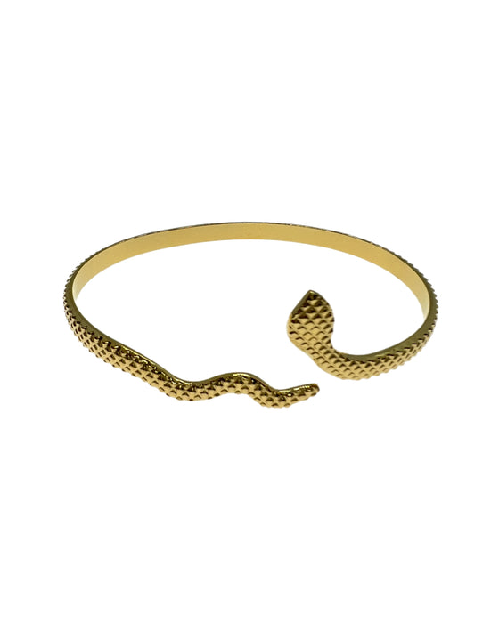 Brazalete Liguria