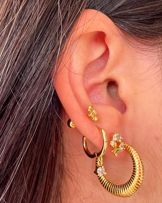 Pendientes Aros Arezzo